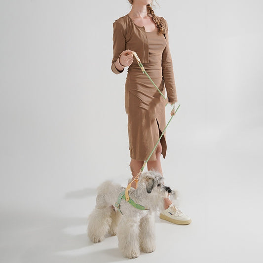 Medium-Sized Dog Safety Rope Leash Description