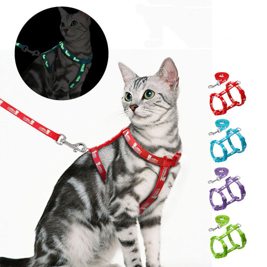 Night light cat traction rope