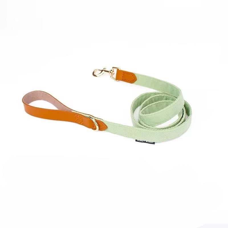 Ondaum Leather Bowknot Dog Collar with Hand Holding Rope – Stylish Pet Accessory with Alloy Details