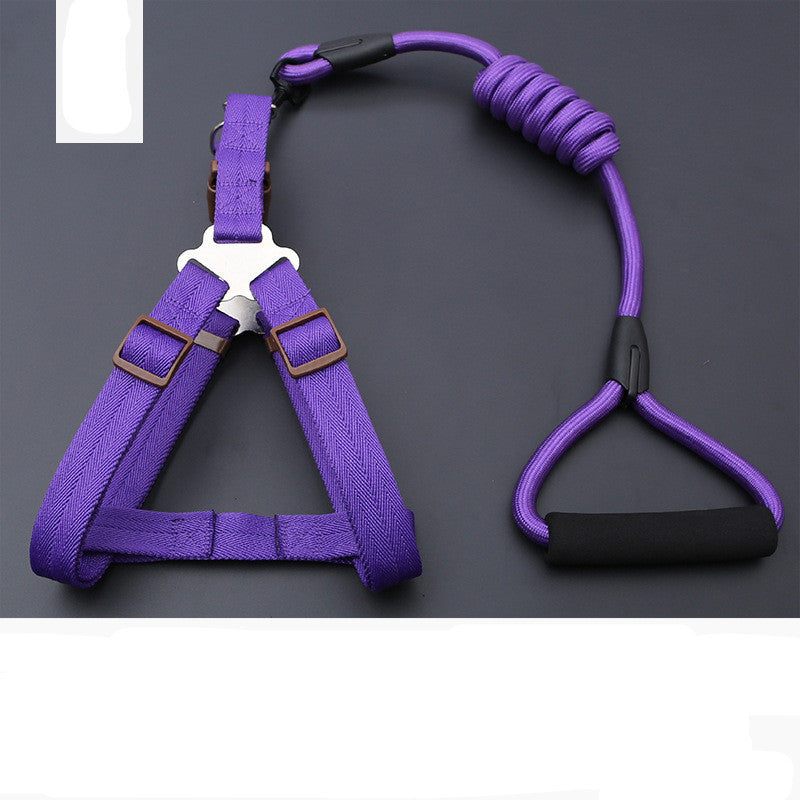 Dog Leash Golden Retriever Teddy Chest Strap Collar