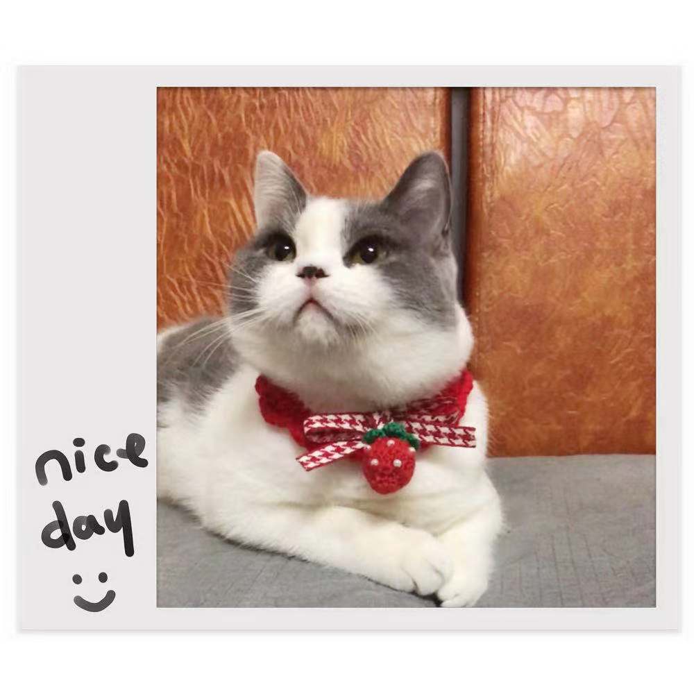 Elegant Wool Pet Collar – Princess Style for All Seasons