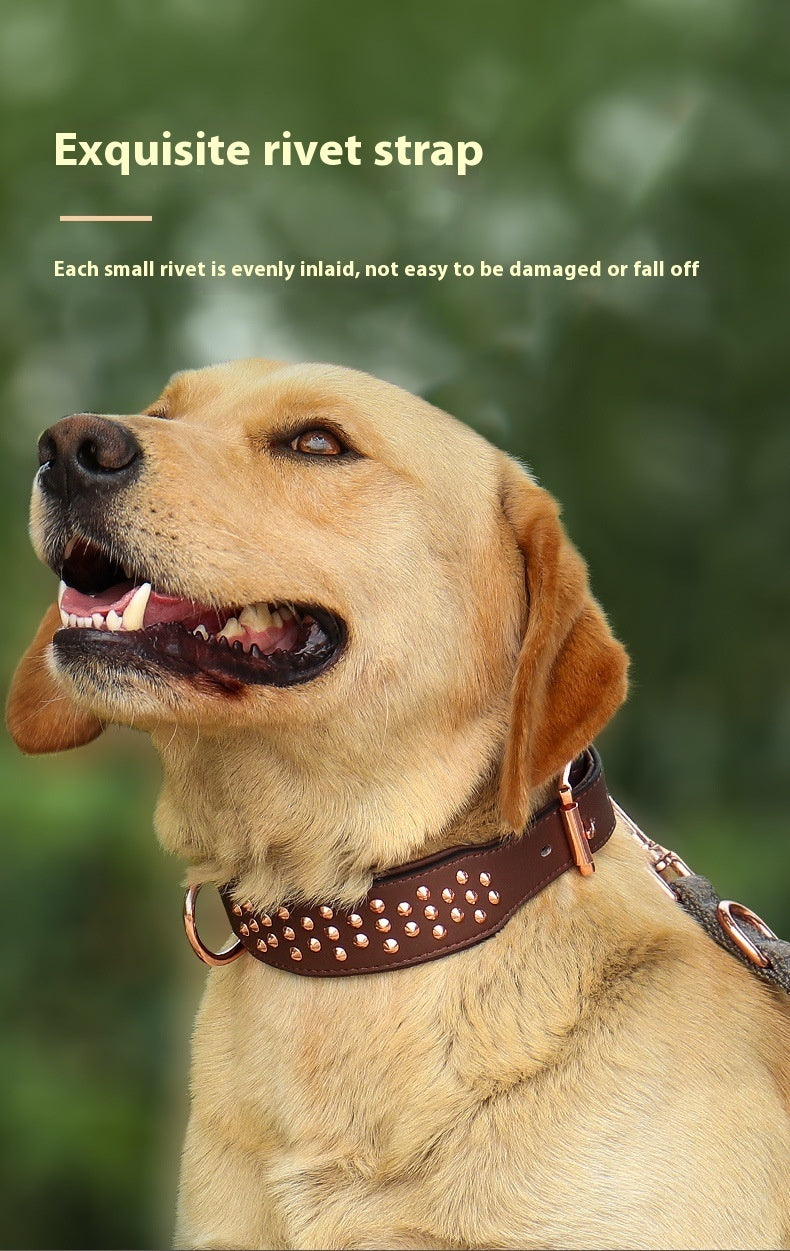 Durable Leather Anti-Bite Dog Collar