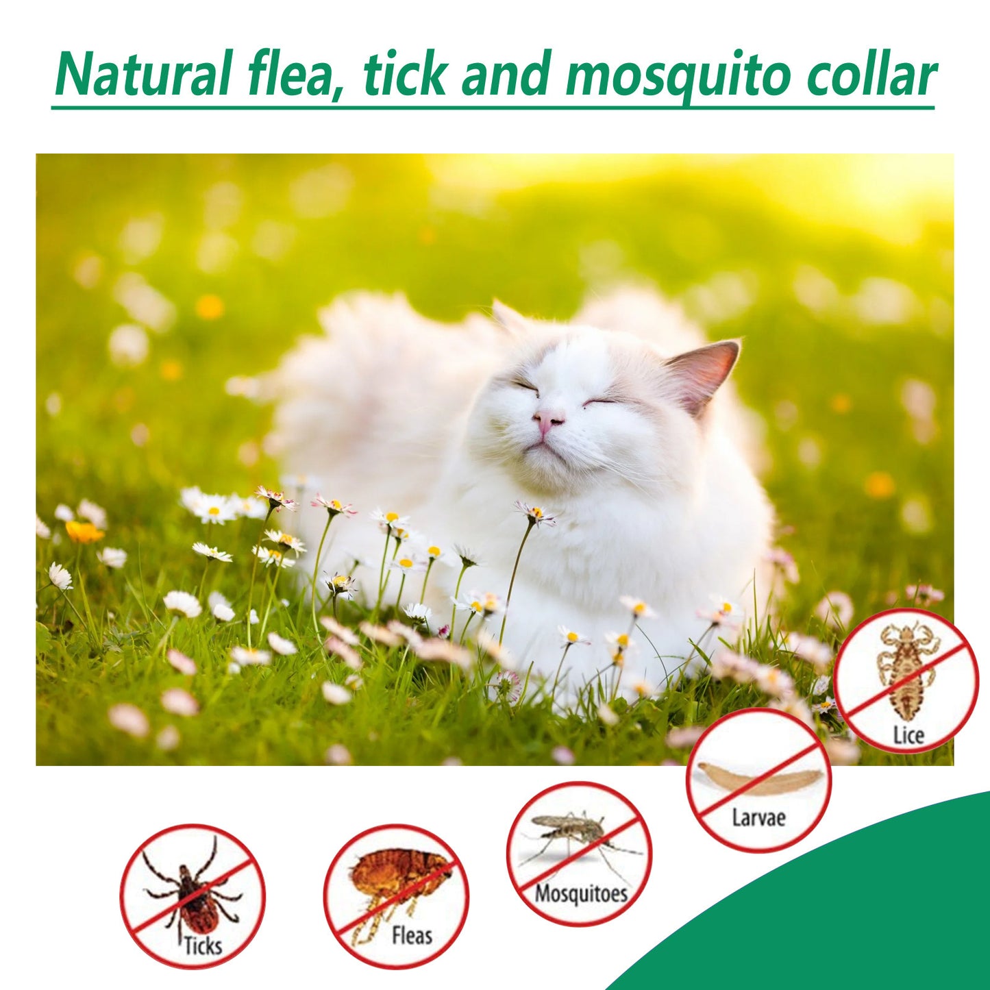 Pet Insect Collar with Natural Repellent