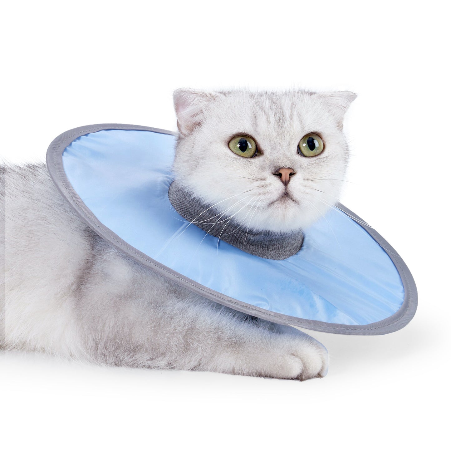 Waterproof Cat Recovery Cone Collar for Pets