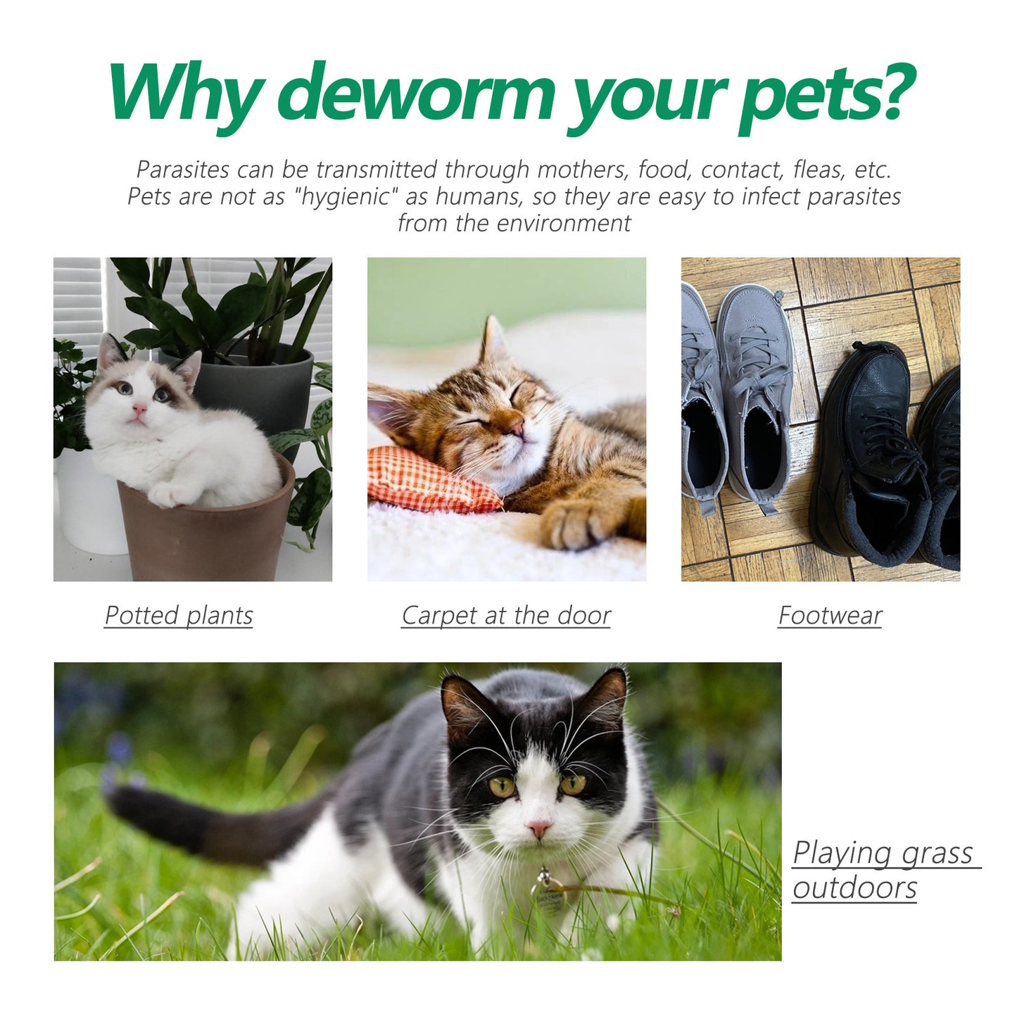 Pet Insect Collar with Natural Repellent