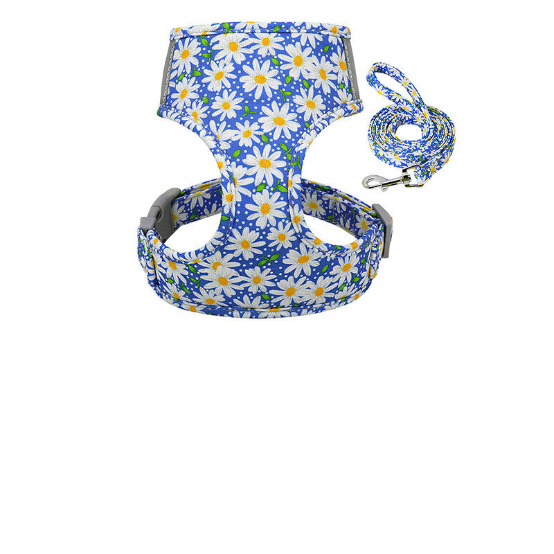 Collar and chest strap