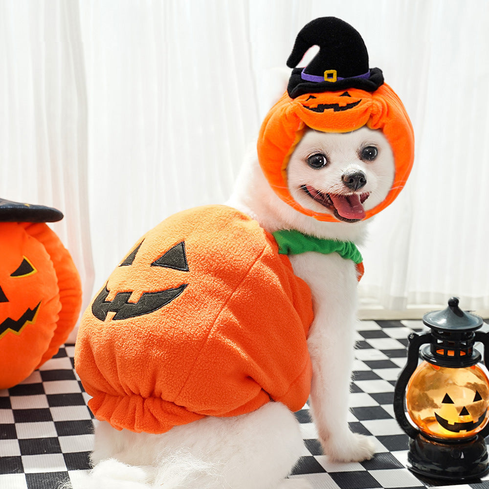 Pet Hat Halloween Funny Pumpkin Hat