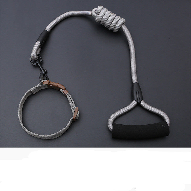 Dog Leash Golden Retriever Teddy Chest Strap Collar