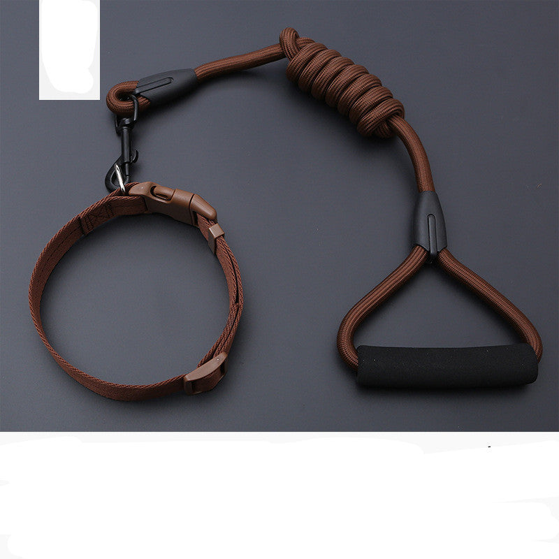 Dog Leash Golden Retriever Teddy Chest Strap Collar