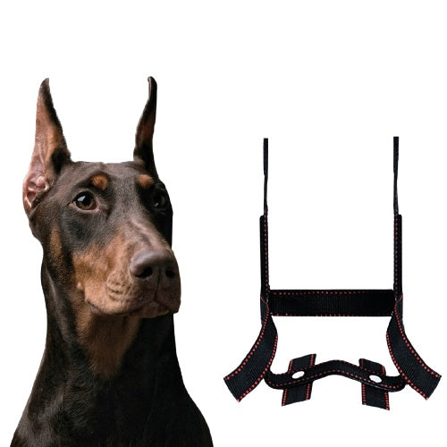 Dog Ear Stand Ear Correction Fixing Artifact