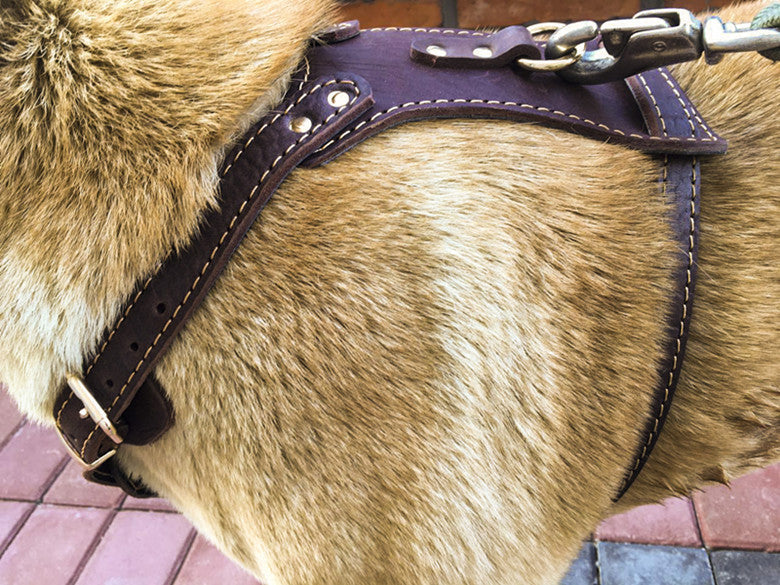 Ondaum Double Layer Thickened Cowhide Chest and Back Harness for Medium to Large Dogs - Adjustable Traction Belt for Comfort and Durability