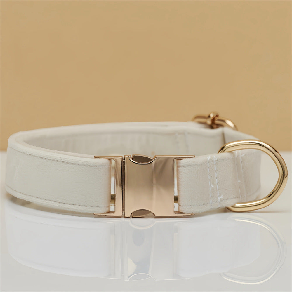 Ondaum Solid Color Dog Collar with Hand-Held Leash – Durable & Stylish Pet Accessory