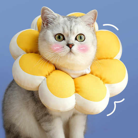 Anti-bite  Anti-licking, Waterproof Cat Soft Collar