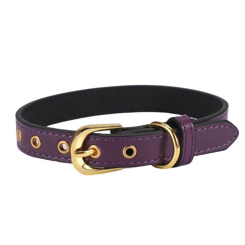 Ondaum Pet PU Collar with Gold Buckle