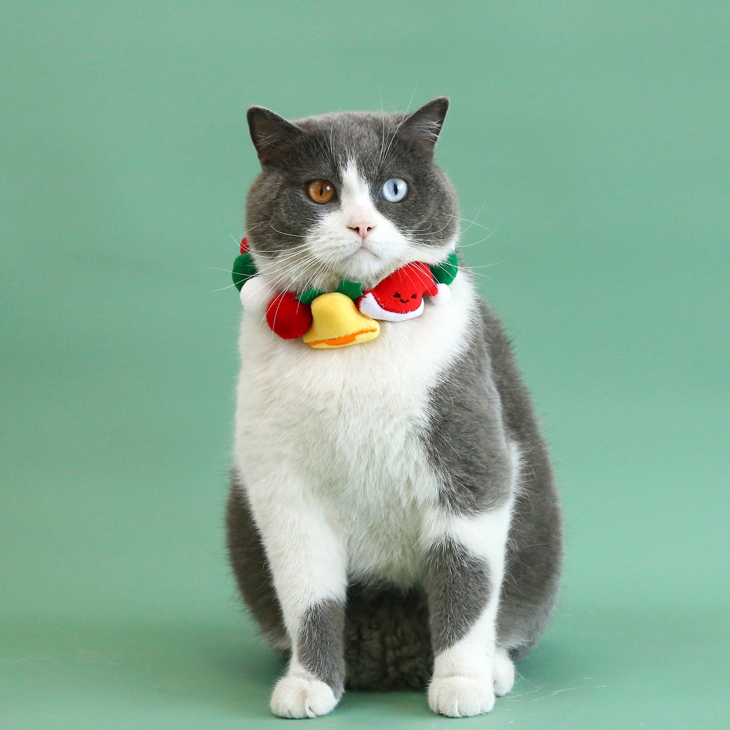 Christmas Pet Collar with Festive Designs