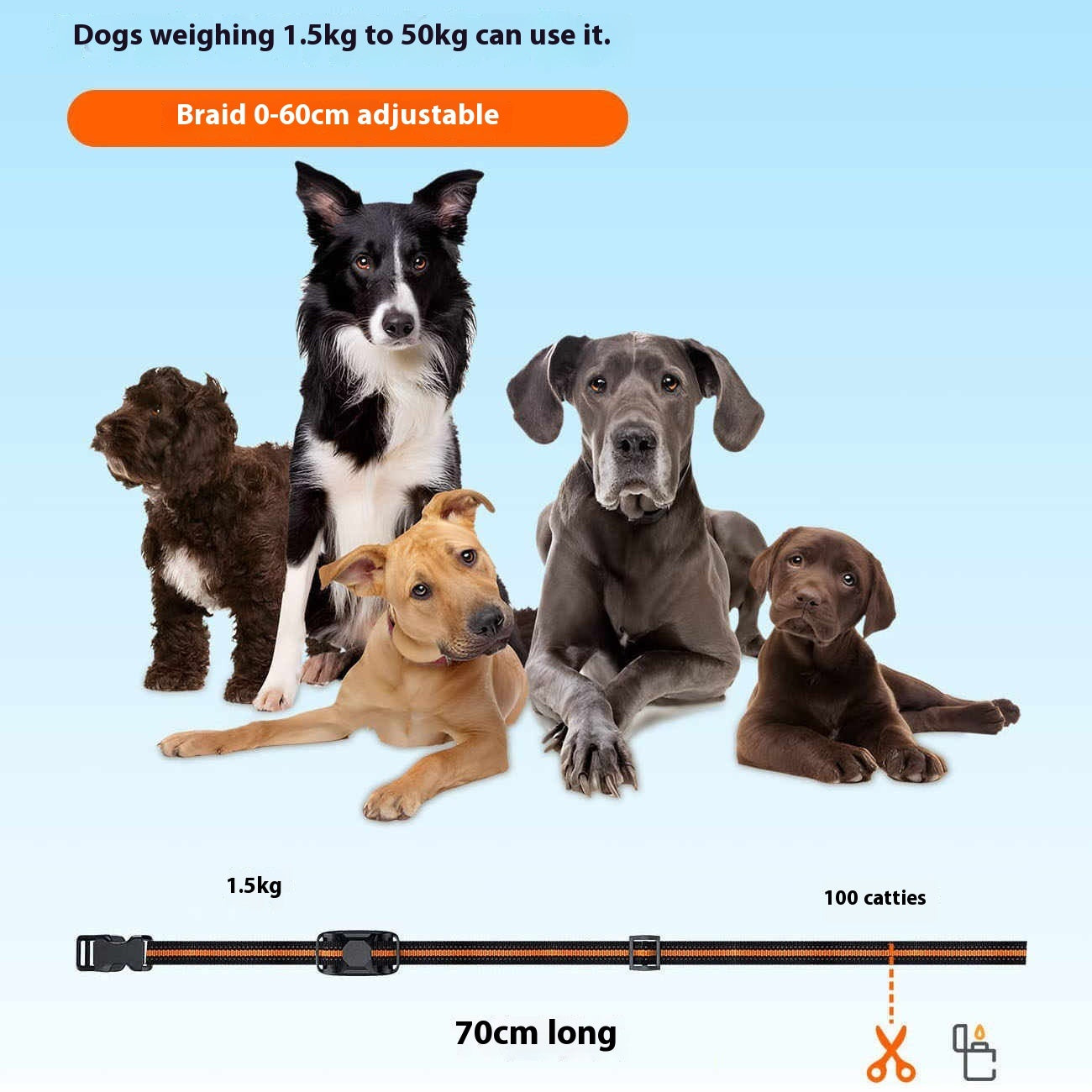Waterproof Dog Bark Stopper with Remote Control