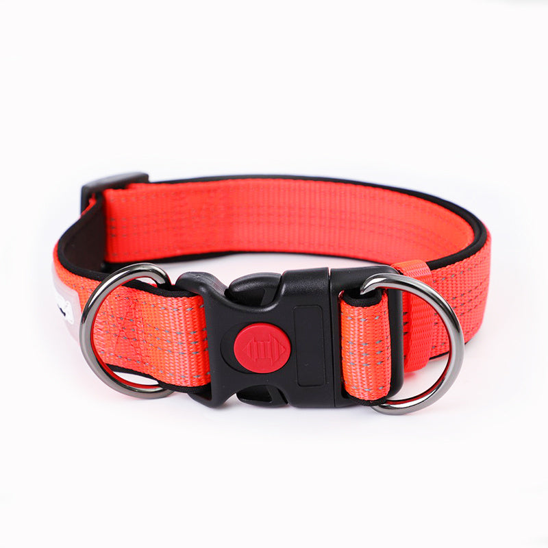 Collared Dog Small Dog Medium And Large Leash