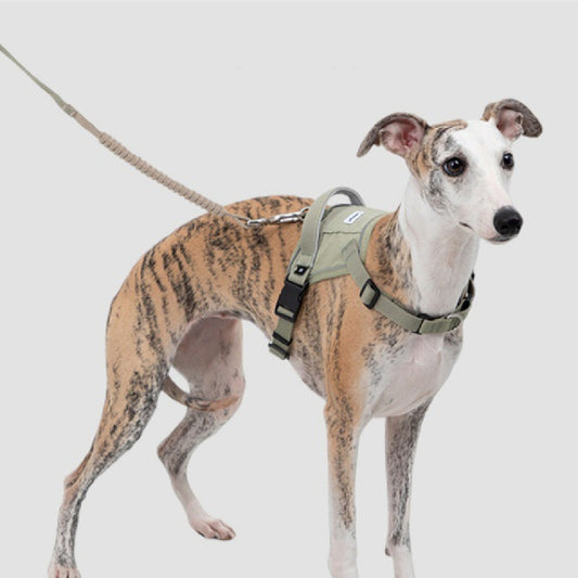 Fashion Personality Pet Vest Chest Back Dog Leash