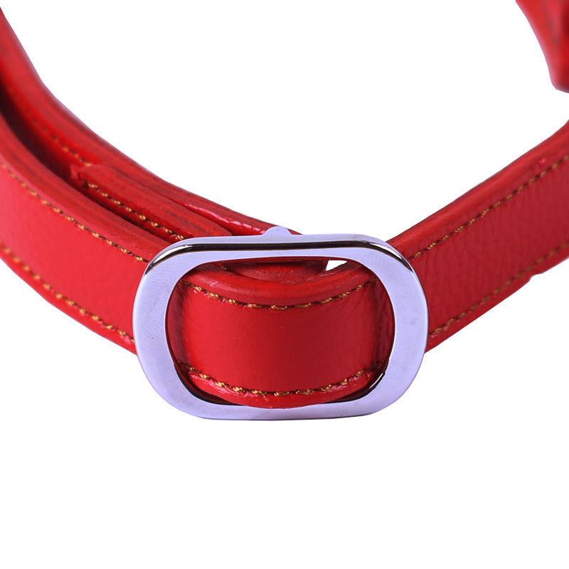 Semi-Controlled Cowhide Leather Dog Collar
