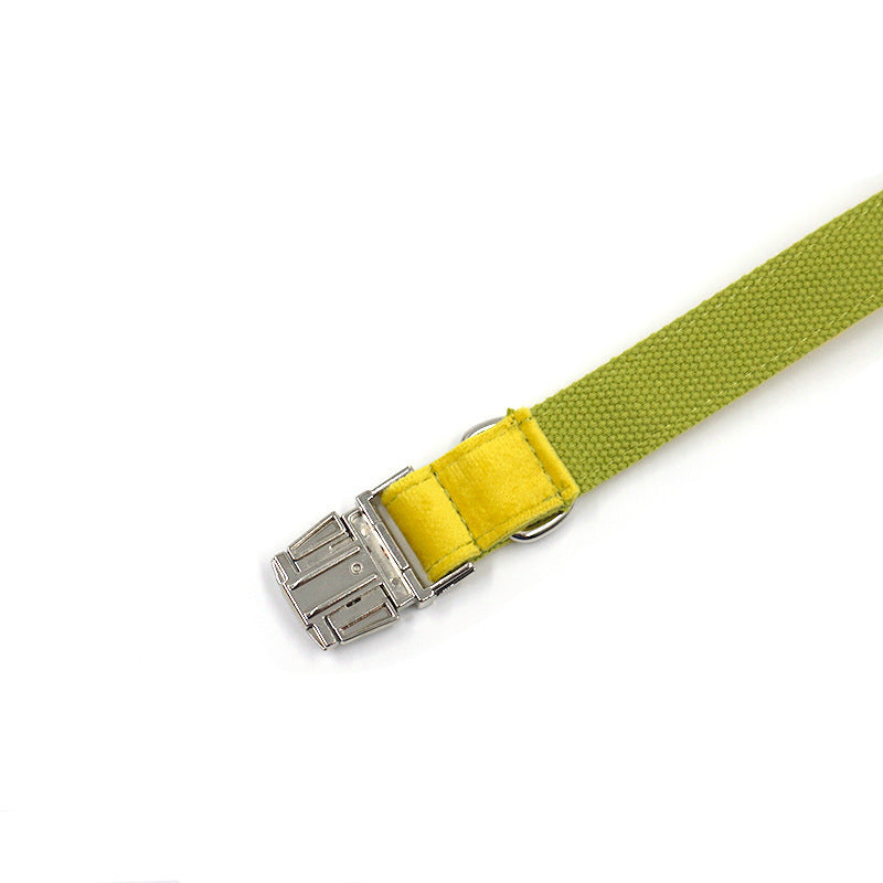 Pet Dog Yellow And Green Velvet Collar