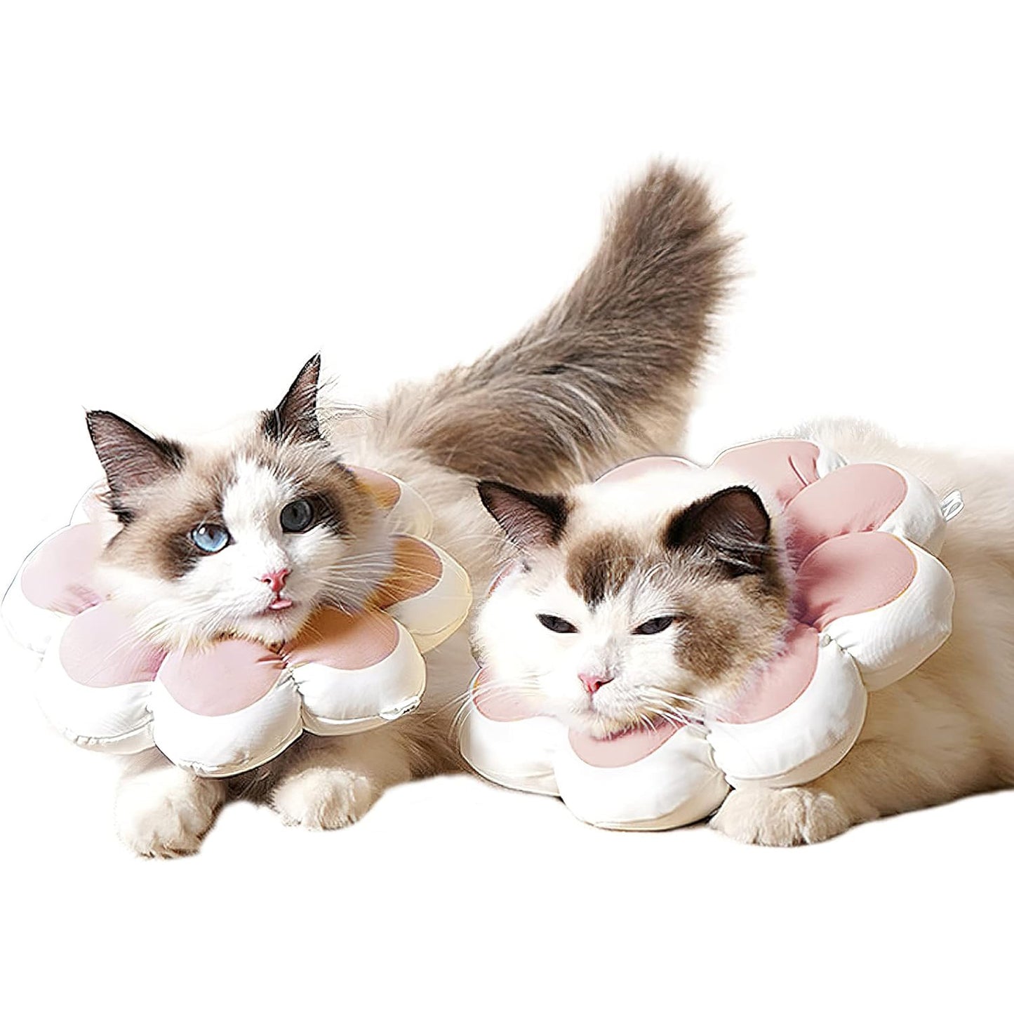 Cat Recovery Cone Collar Pet E-Collar Elizabethan Collar After Surgery Recovery Pet Cone For Cat Puppy Breathable Soft Edge And Easy To Clean