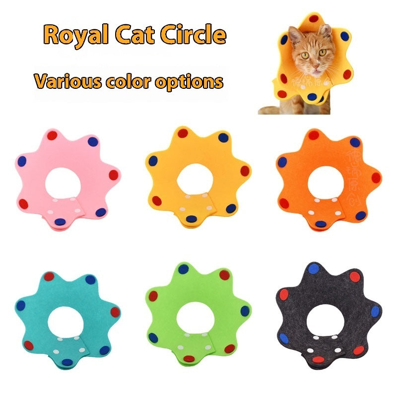 Adjustable Postoperative Cat Recovery Collar