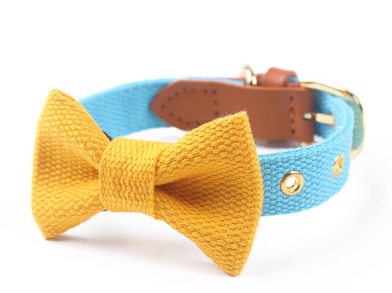 Canvas Hand-Held Rope & Leather-Stitched Collar Set – Durable & Stylish Pet Accessory
