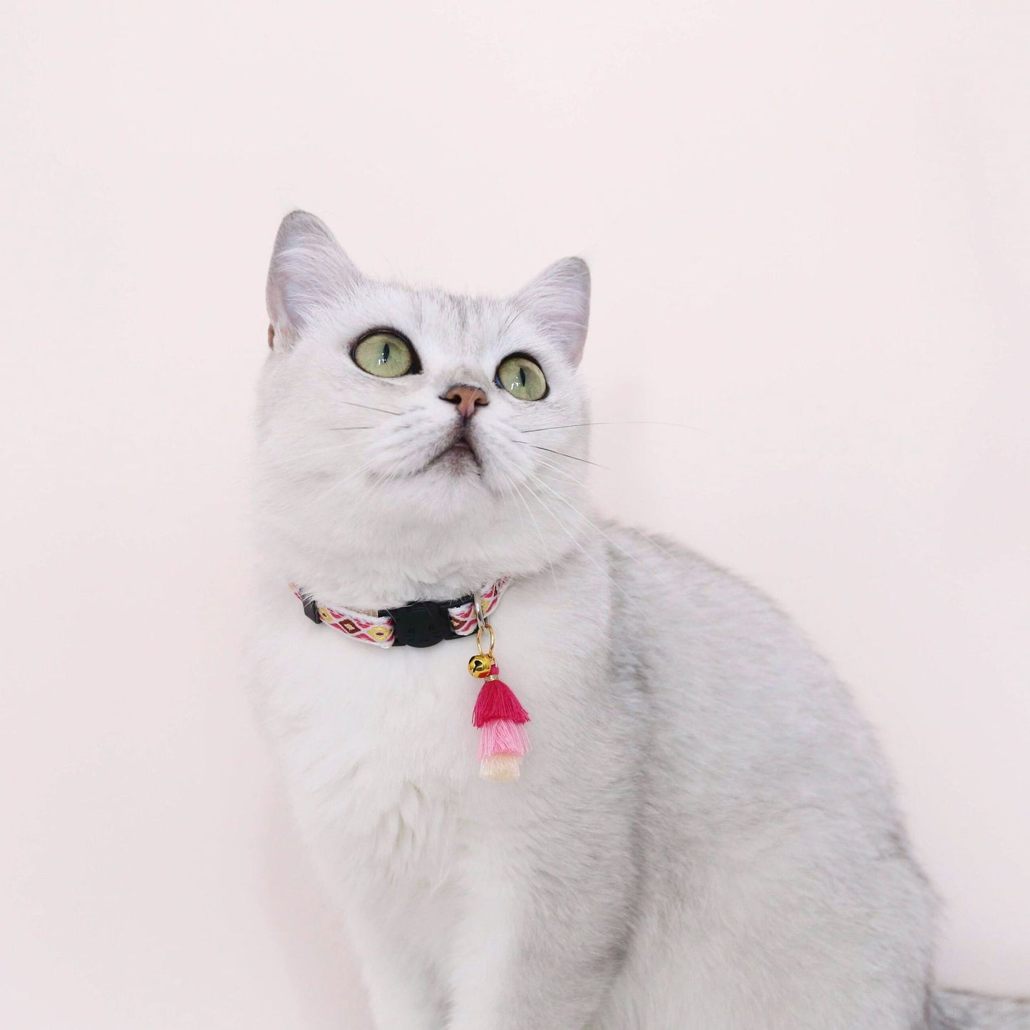 Elegant Grid-Pattern Pet Collar – Stylish & Safe Design
