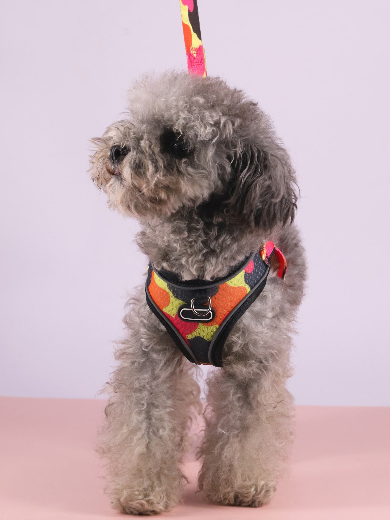 Pet's Chest-back Traction Dog Walking Chest Strap