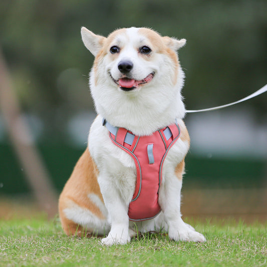 Large Anti Slip Pet Chest Harness In Traction Rope