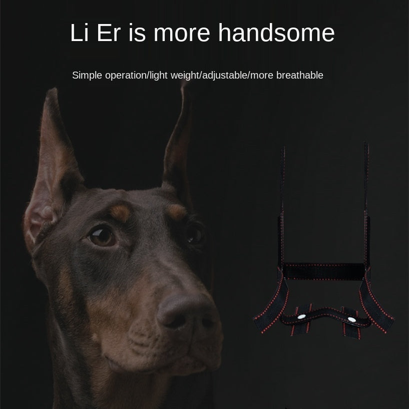 Dog Ear Stand Ear Correction Fixing Artifact