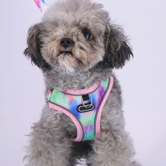 Pet's Chest-back Traction Dog Walking Chest Strap