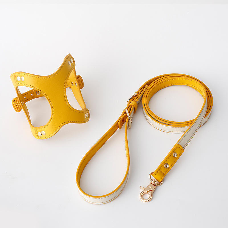 Fashion Vest Type Traction Rope For Walking The Dog