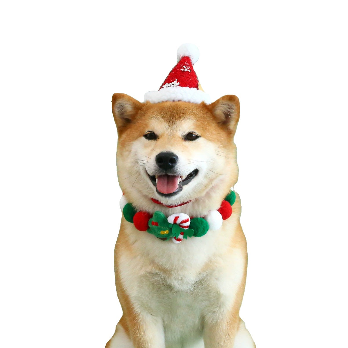 Christmas Pet Collar with Festive Designs