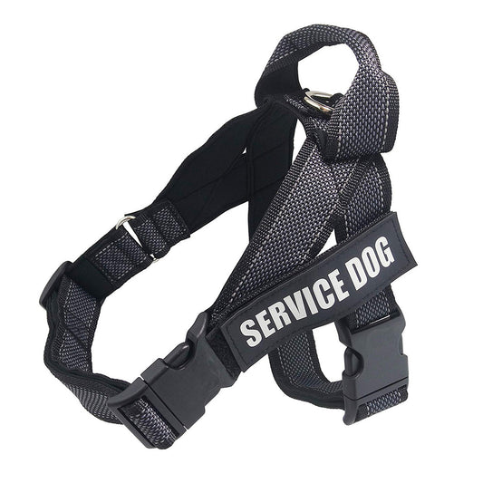 Large Dog Car Safety Chest And Back