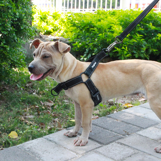 Pet Dog Night Reflective Chest Strap Collar