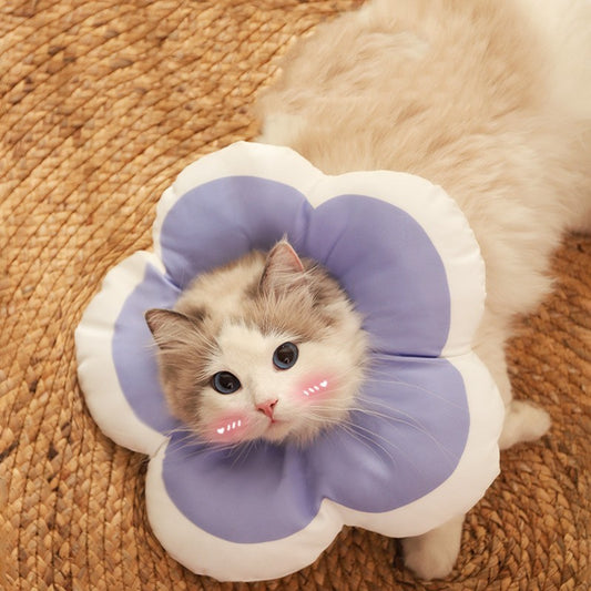 Anti-Licking Soft Cap Cat Collar for Recovery
