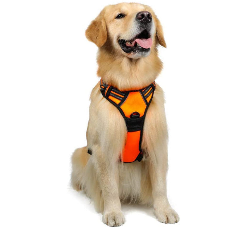 Dog Hand Holding Rope Reflective Vest