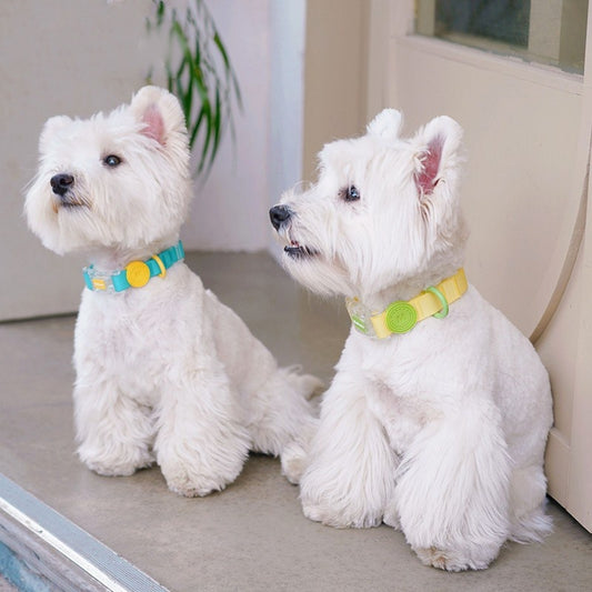 Ondaum Adjustable Dog Collar and Leash – Durable Nylon Pet Chain with Hand Holding Rope, Available in Multiple Colors and Sizes