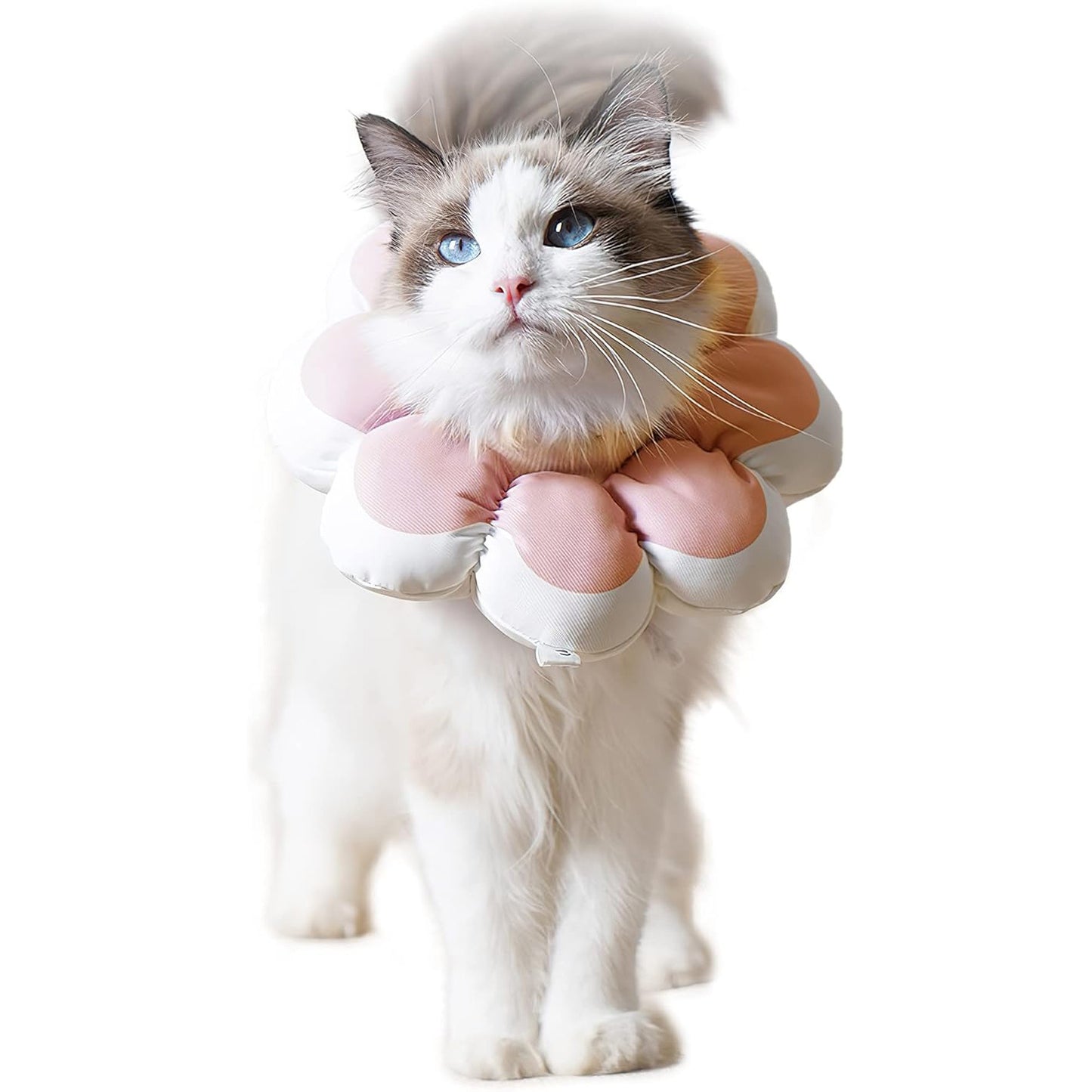 Cat Recovery Cone Collar Pet E-Collar Elizabethan Collar After Surgery Recovery Pet Cone For Cat Puppy Breathable Soft Edge And Easy To Clean