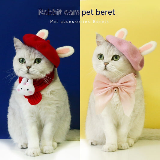 Stylish Wool Cat Hat with Rabbit Ears