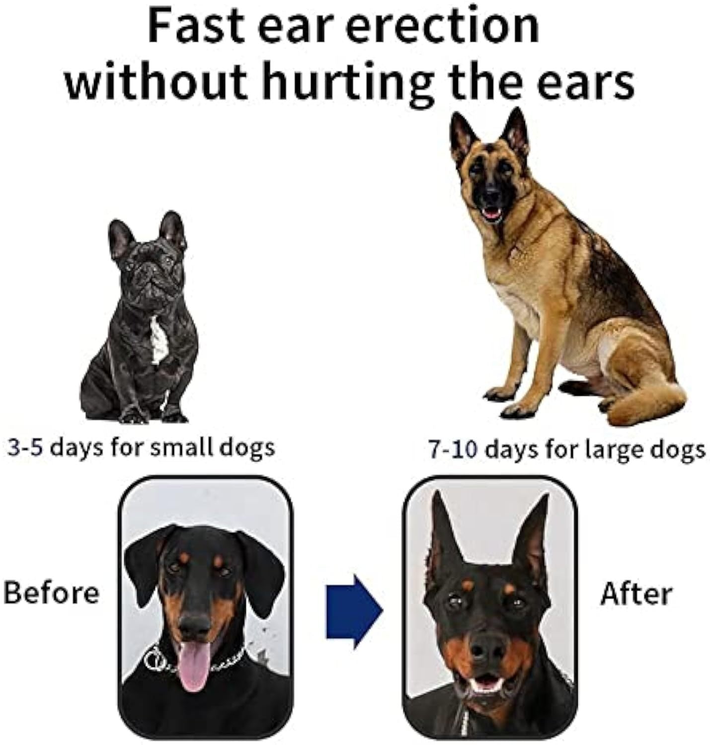 Dog Ear Stand Up Support Tool Sticker, Dog Ear Fixed Correction Vertical Holder For Doberman Pinscher Sheltie Corgi Puppies