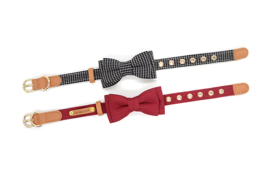Stylish Dog Bow Collar for Small & Medium Breeds