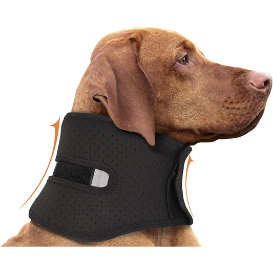 Ondaum Pet Dog Neck Brace – Supportive Cervical Collar for Injury Recovery & Stability