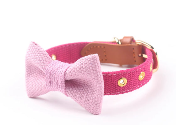 Canvas Hand-Held Rope & Leather-Stitched Collar Set – Durable & Stylish Pet Accessory
