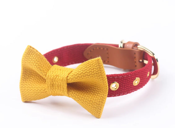 Canvas Hand-Held Rope & Leather-Stitched Collar Set – Durable & Stylish Pet Accessory
