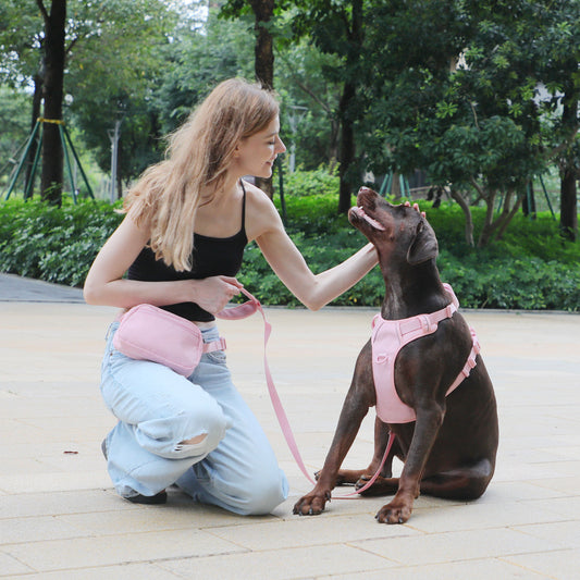 Pink Corduroy Pet Walking Set Bundle