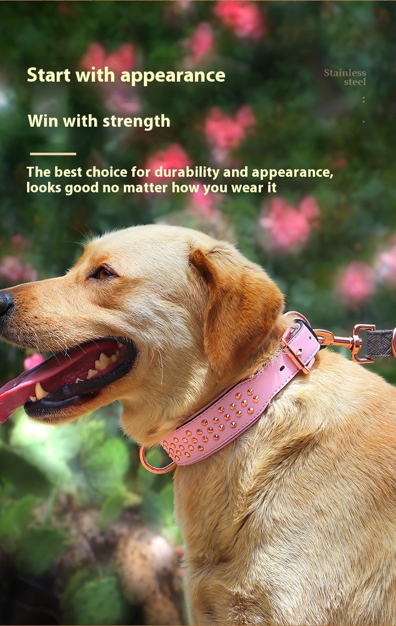 Durable Leather Anti-Bite Dog Collar
