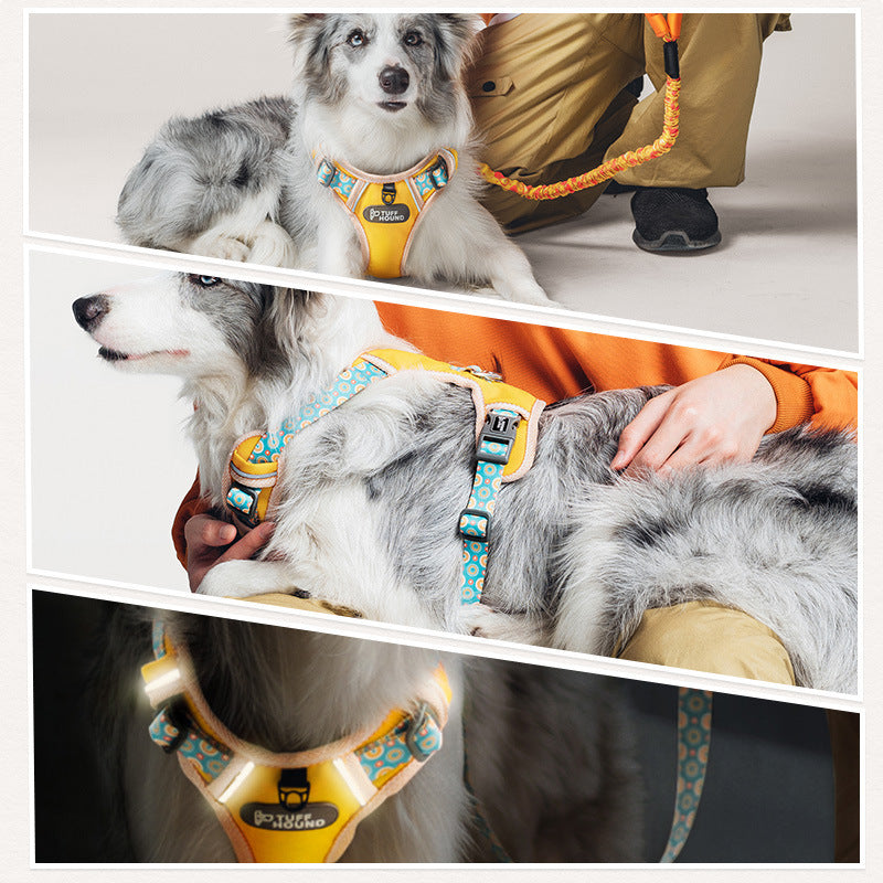 Pet Fashion Simple Chest Strap Leash Set