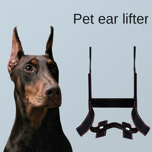 Dog Ear Stand Ear Correction Fixing Artifact